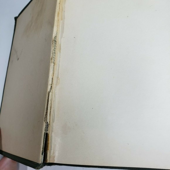 Antique 1920 Agriculture Book Asparagus Its Culture for Home Use and for Market - Picture 4 of 12